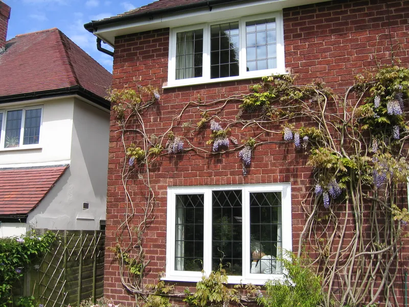 Edwardian Conservatory — Gallery Dalston